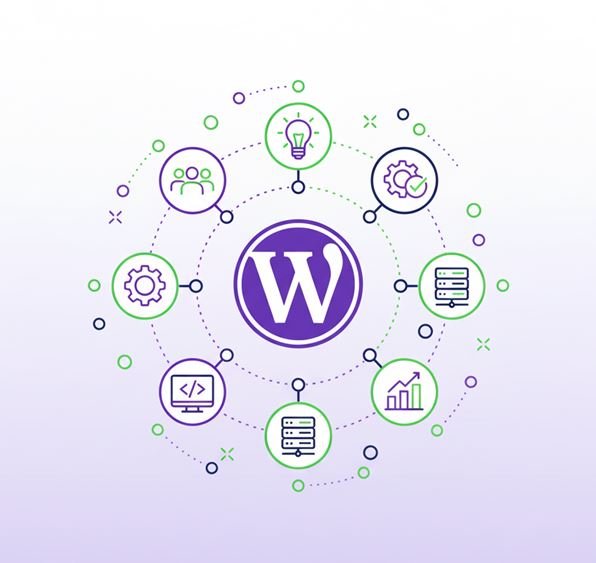 Expert Developers Committed to Excellence